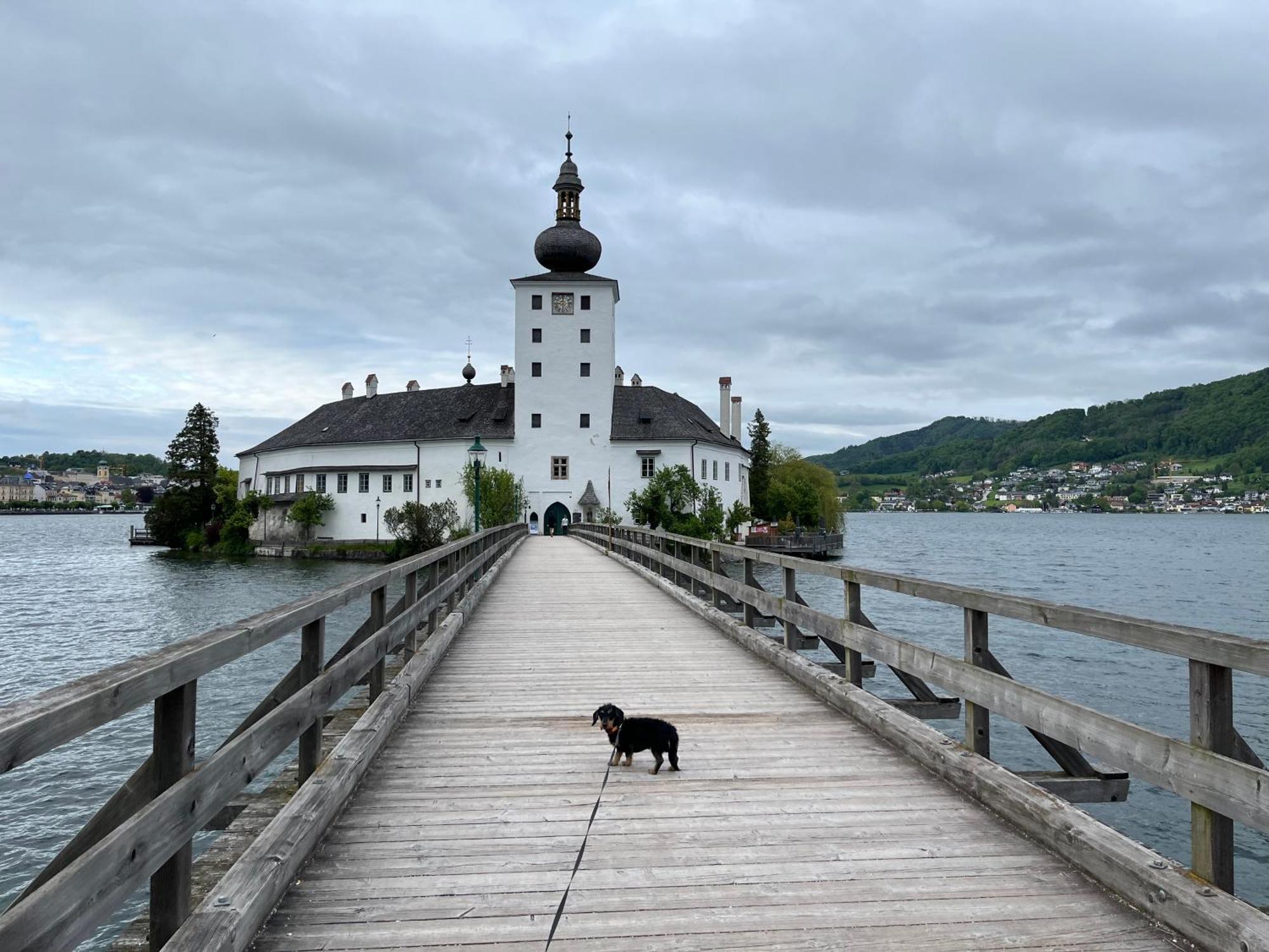 Altstadtjuwel In Gmunden Am Traunsee Dış mekan fotoğraf