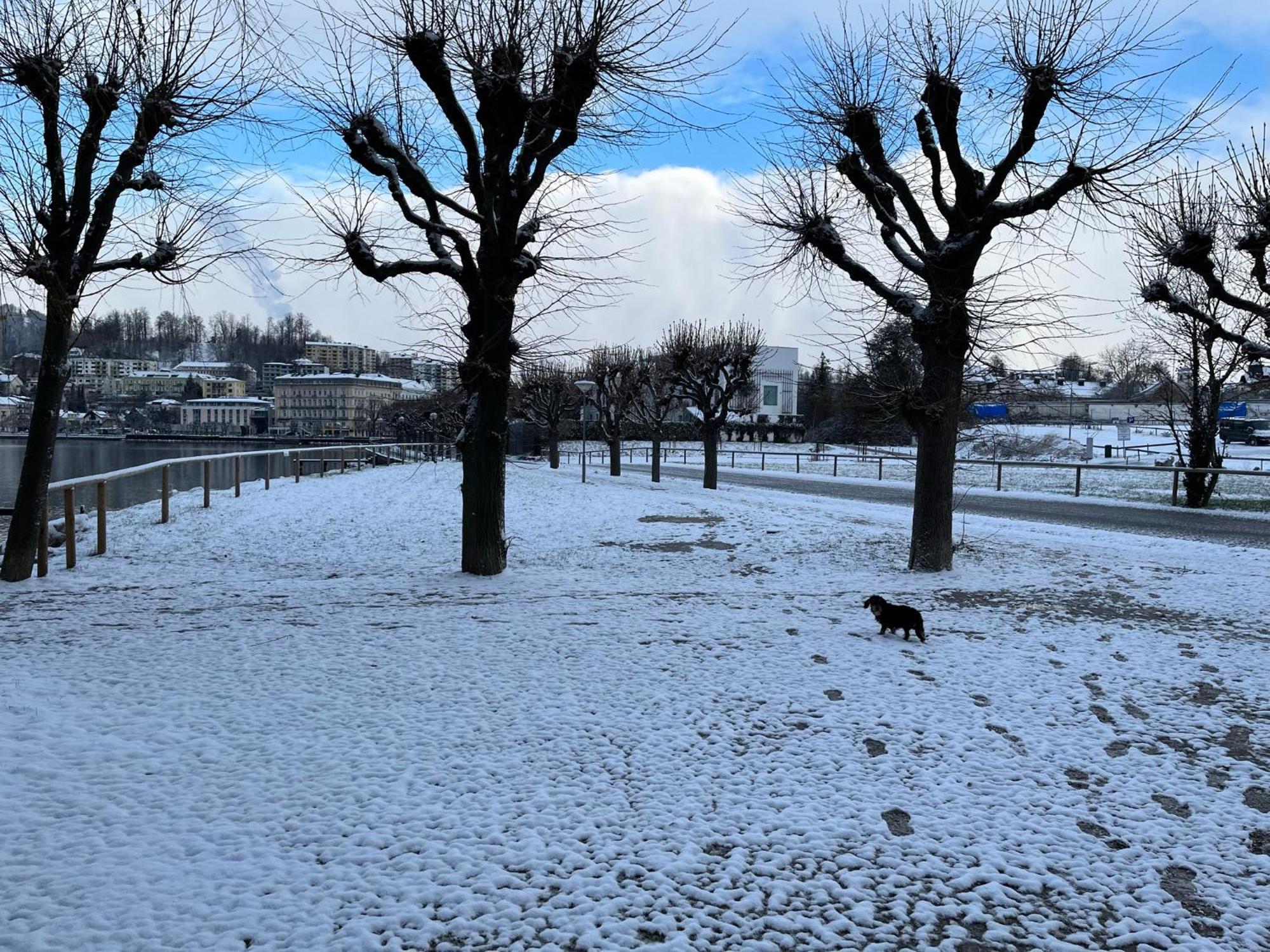 Altstadtjuwel In Gmunden Am Traunsee Dış mekan fotoğraf